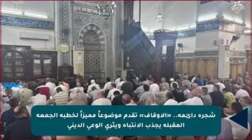 شجرة دائمة.. «الأوقاف» تقدم موضوعاً مميزاً لخطبة الجمعة المقبلة يجذب الانتباه ويثري الوعي الديني